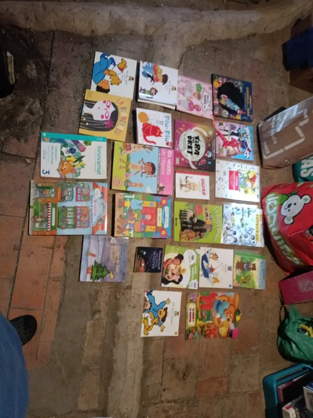 Lote de libros infantiles y juveniles