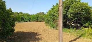 Casa rural en venta en Este-Delicias en Jerez de la Frontera