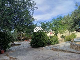 Chalet en venta en Pedro Lamata - San Pedro Mortero en Albacete