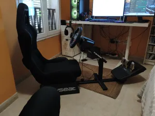 Silla Gaming Playseat + Volante Logitech G29