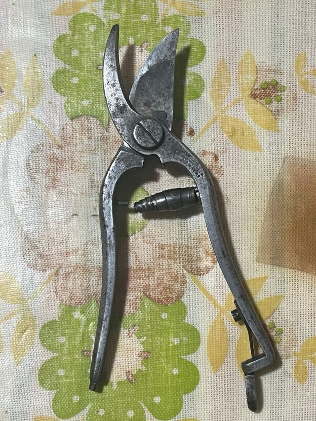 Tijeras de podar pequeñas