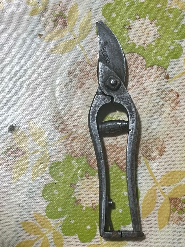 Tijeras de podar pequeñas