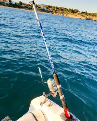 Equipo Pesca Embarcación, Spinning, Currican