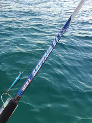 Equipo Pesca Embarcación, Spinning, Currican