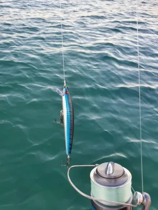 Equipo Pesca Embarcación, Spinning, Currican