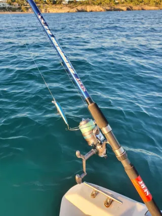 Equipo Pesca Embarcación, Spinning, Currican