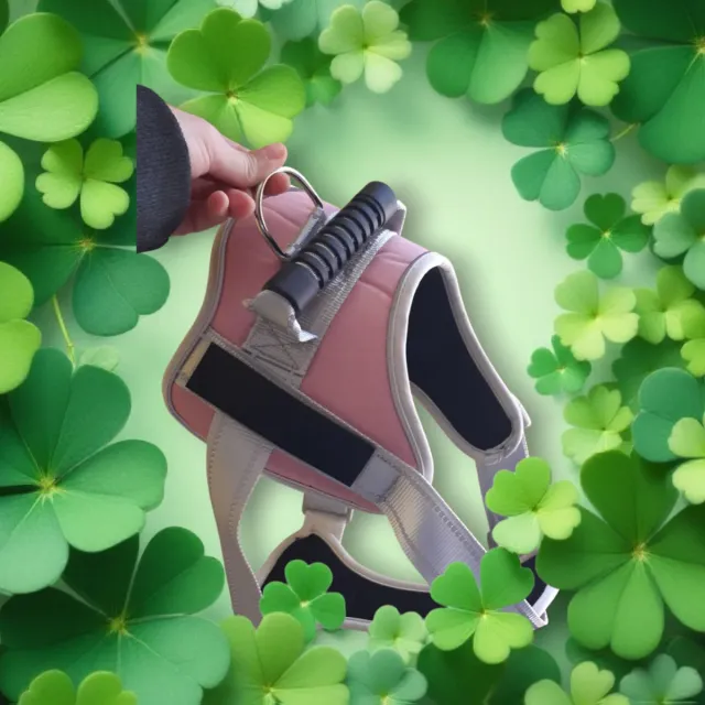 Pettorina per cani rosa pastello con maniglia