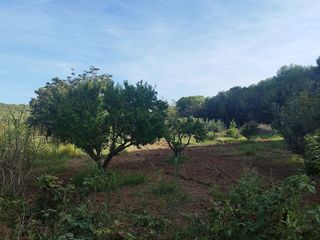 Casa rural en venta en Mas Trader-Corral D’En Tort-Corral D’En Cona en Cubelles