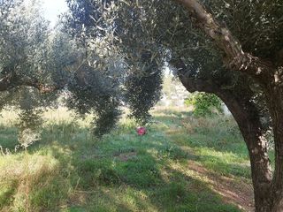 Casa rural en venta en Mas Trader-Corral D’En Tort-Corral D’En Cona en Cubelles