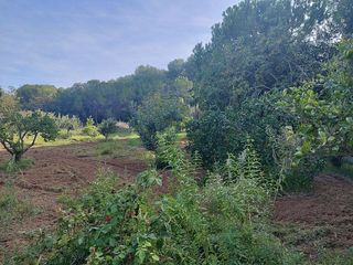 Casa rural en venta en Mas Trader-Corral D’En Tort-Corral D’En Cona en Cubelles