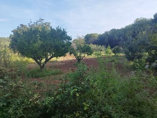 Casa rural en venta en Mas Trader-Corral D’En Tort-Corral D’En Cona en Cubelles