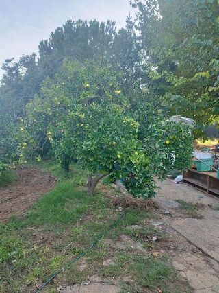 Casa rural en venta en Mas Trader-Corral D’En Tort-Corral D’En Cona en Cubelles