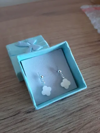 Pendientes plata 100%