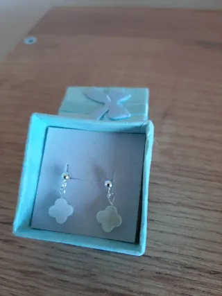 Pendientes plata 100%