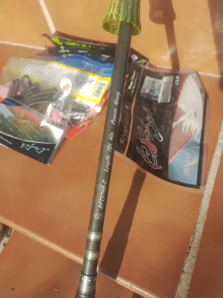 Caña de pescar y accesorios