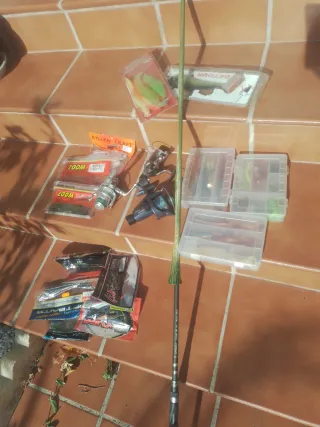 Caña de pescar y accesorios