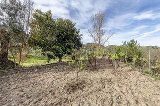 Cortijo en venta en Barrio de la Vega en Monachil