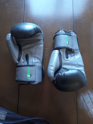 Guantes de Boxeo / Muay Thai Pretorian 14 oz