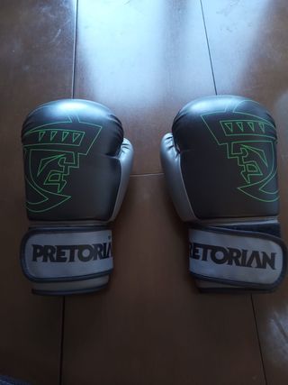 Guantes de Boxeo / Muay Thai Pretorian 14 oz