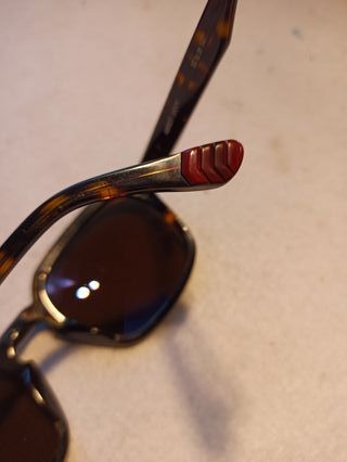 Gafas de sol Etnia Barcelona negras y marrones