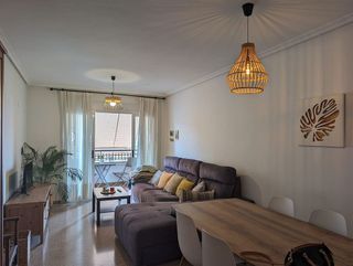 Piso en alquiler en Alcalde Felipe Mallol en San Vicente del Raspeig/Sant Vicent del Raspeig