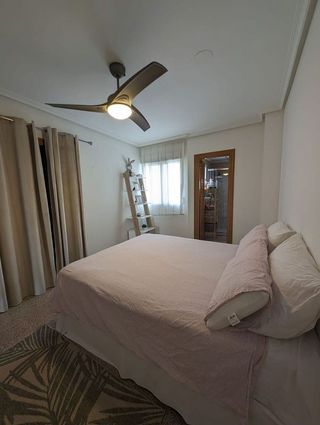 Piso en alquiler en Alcalde Felipe Mallol en San Vicente del Raspeig/Sant Vicent del Raspeig