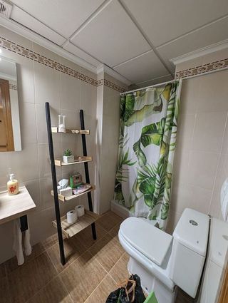 Piso en alquiler en Alcalde Felipe Mallol en San Vicente del Raspeig/Sant Vicent del Raspeig