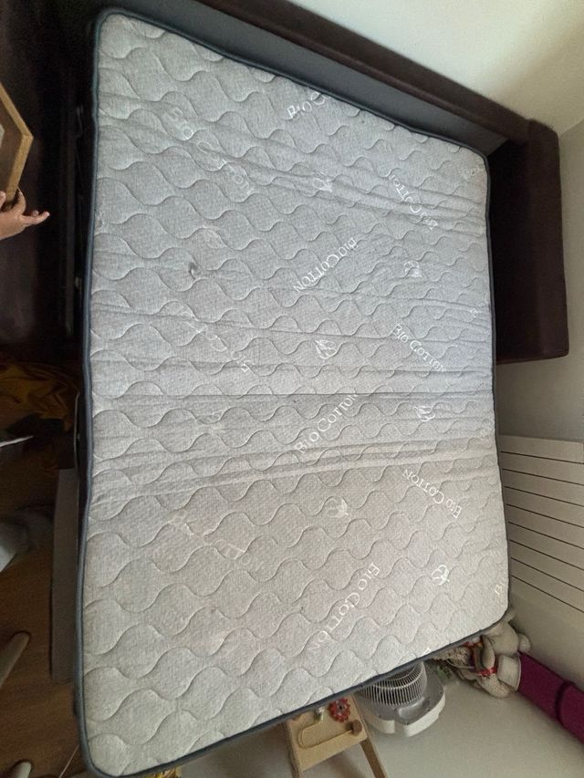 Sofá Cama Mopal Piel Marrón