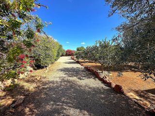 Casa rural en venta en Llucmajor Interior en Llucmajor