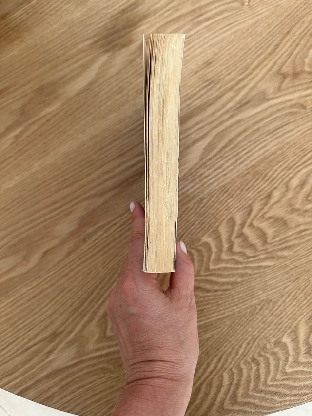 El caso del loro que hablaba demasiado (bolsill...