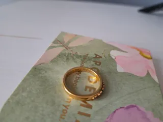 Anillo Apodemia Bañado en Oro Talla 56