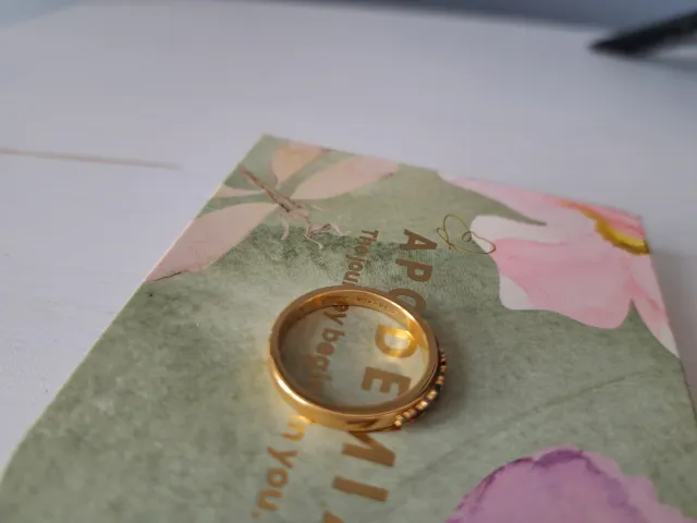 Anillo Apodemia Bañado en Oro Talla 56
