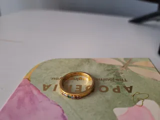 Anillo Apodemia Bañado en Oro Talla 56