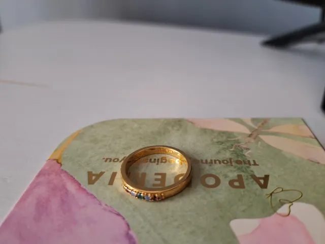 Anillo Apodemia Bañado en Oro Talla 56