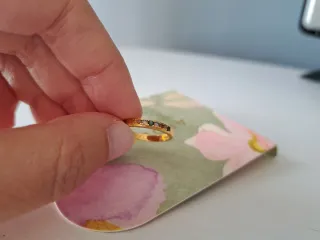 Anillo Apodemia Bañado en Oro Talla 56