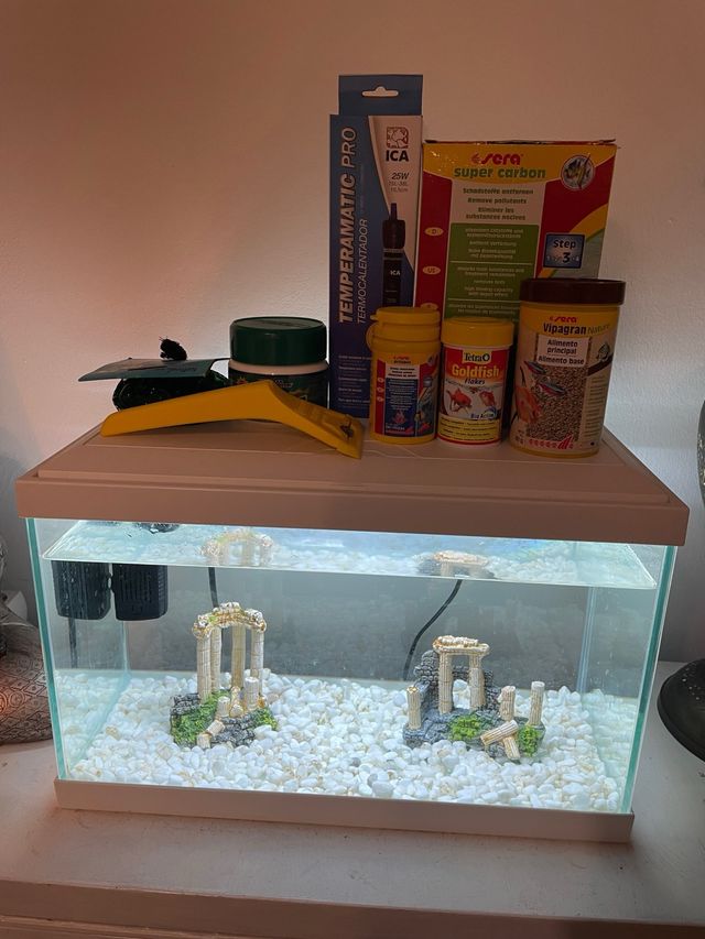 Pecera de 17 litros con accesorios