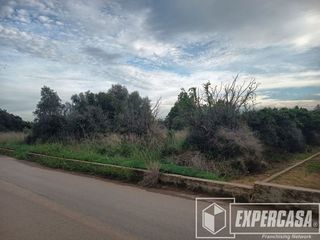 Terreno en venta en Picassent