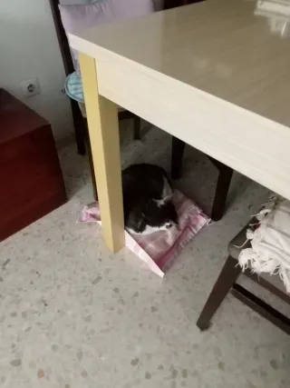 Impresora HP LaserJet Pro MFP M428dw