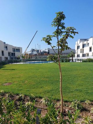 Piso en alquiler en Polígono Industrial Sur en San Sebastián de los Reyes