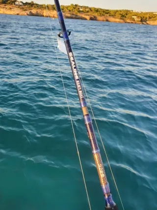 Caña de pescar Daiwa, Equipo Pesca CURRICAN