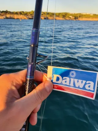 Caña de pescar Daiwa, Equipo Pesca CURRICAN