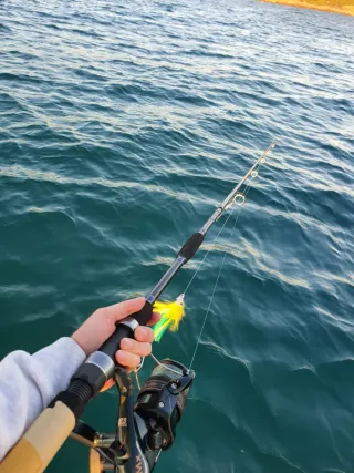 Caña de pescar Daiwa, Equipo Pesca CURRICAN