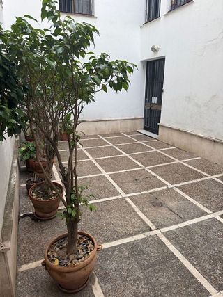 Piso en alquiler en Museo en Sevilla