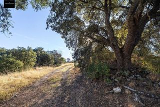 Cortijo en venta en Montefrío