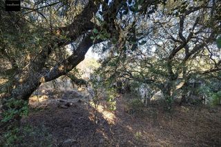Cortijo en venta en Montefrío