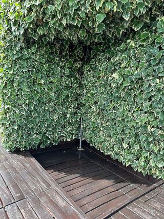 Chalet en venta en Cocentaina