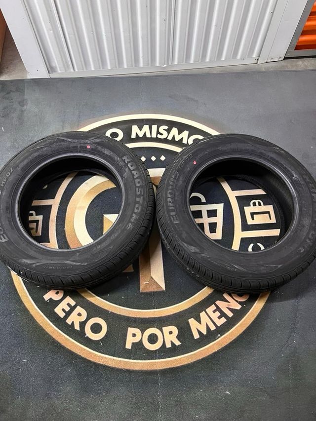 Neumático de Invierno Roadstone Eurovis Alpine 195