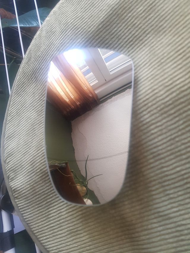 Cristal i20 Izquierdo