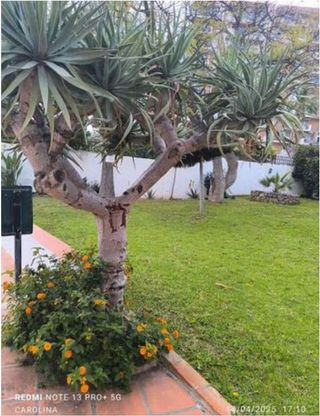 Piso en venta en Parque de la Paloma en Benalmádena