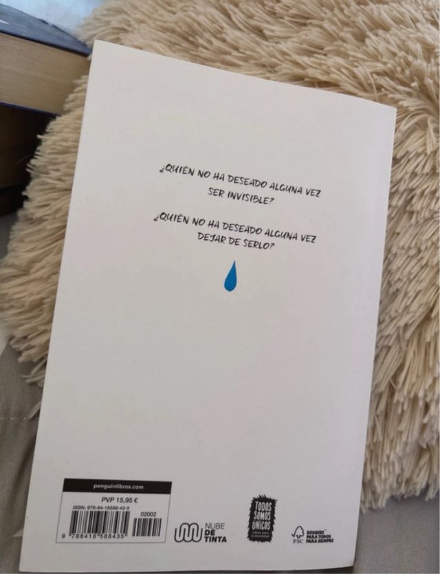 Invisible / Invisible (Spanish Edition)